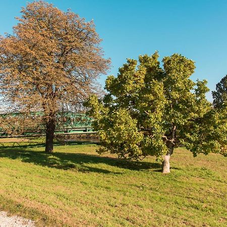 Halaszcsarda-Panzio Hotel Kormend Luaran gambar