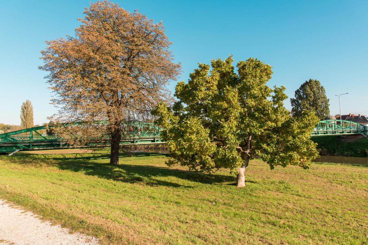 Halaszcsarda-Panzio Hotel Kormend Luaran gambar